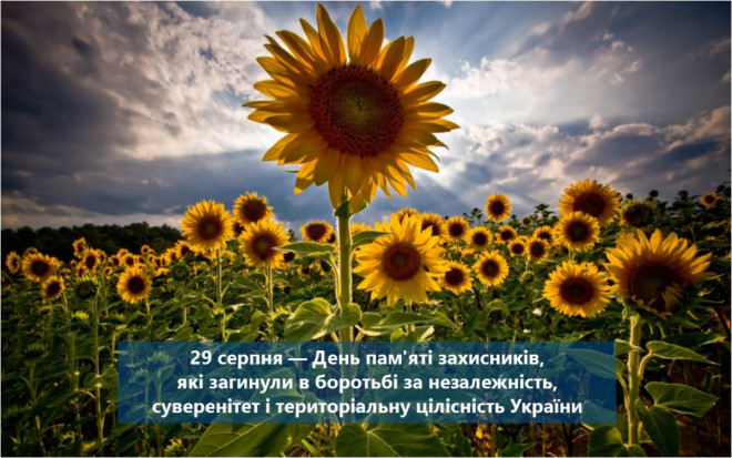29 серпня – День пам’яті захисників України